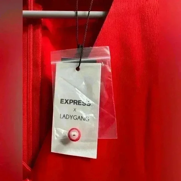 Express x Lady Gang Satin A-Line Midi Dress - NWT, Women’s Size 4 - Picture 7 of 13